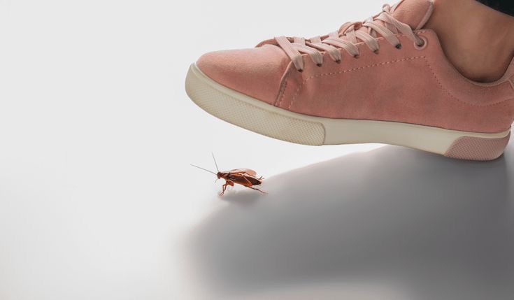 69526634-C25B-4876-B189-9F67F009529B