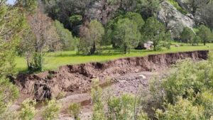 2E304A4B-515D-4EBA-9951-4DE1F9E7145E