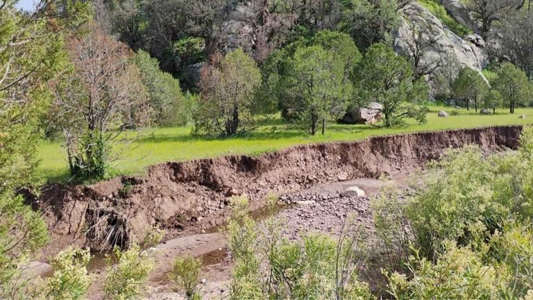 2E304A4B-515D-4EBA-9951-4DE1F9E7145E