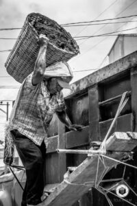 46F3F7C6-5BCB-4577-85DA-9F5D10DC56CC