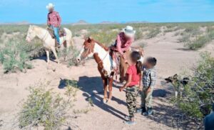 583325A7-F289-4E6F-9CAA-B5C4863B0043