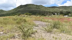 76A583A5-DA0E-494C-9498-F2F204668E0C