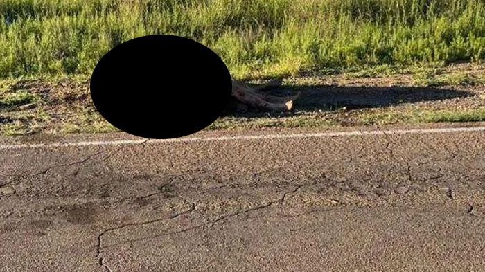 EBD28984-BDCE-4388-8484-3A8916333622