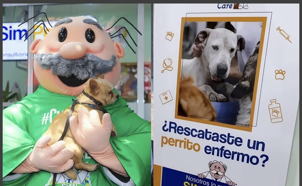 23203102-90D2-40B5-B97C-4C6A84E0512C