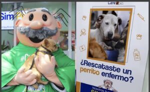 23203102-90D2-40B5-B97C-4C6A84E0512C