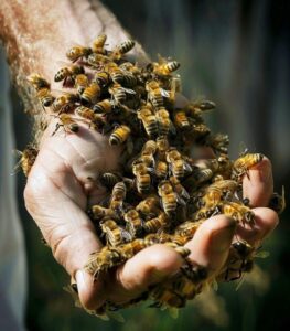 26cf899bd08ba3c9d305df13a569ebfa