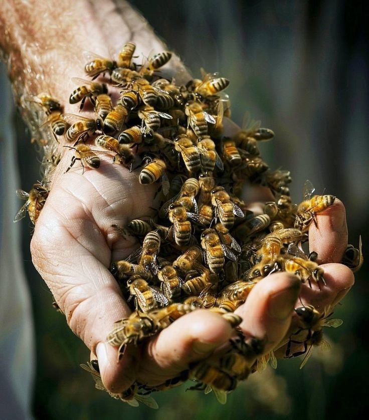 26cf899bd08ba3c9d305df13a569ebfa