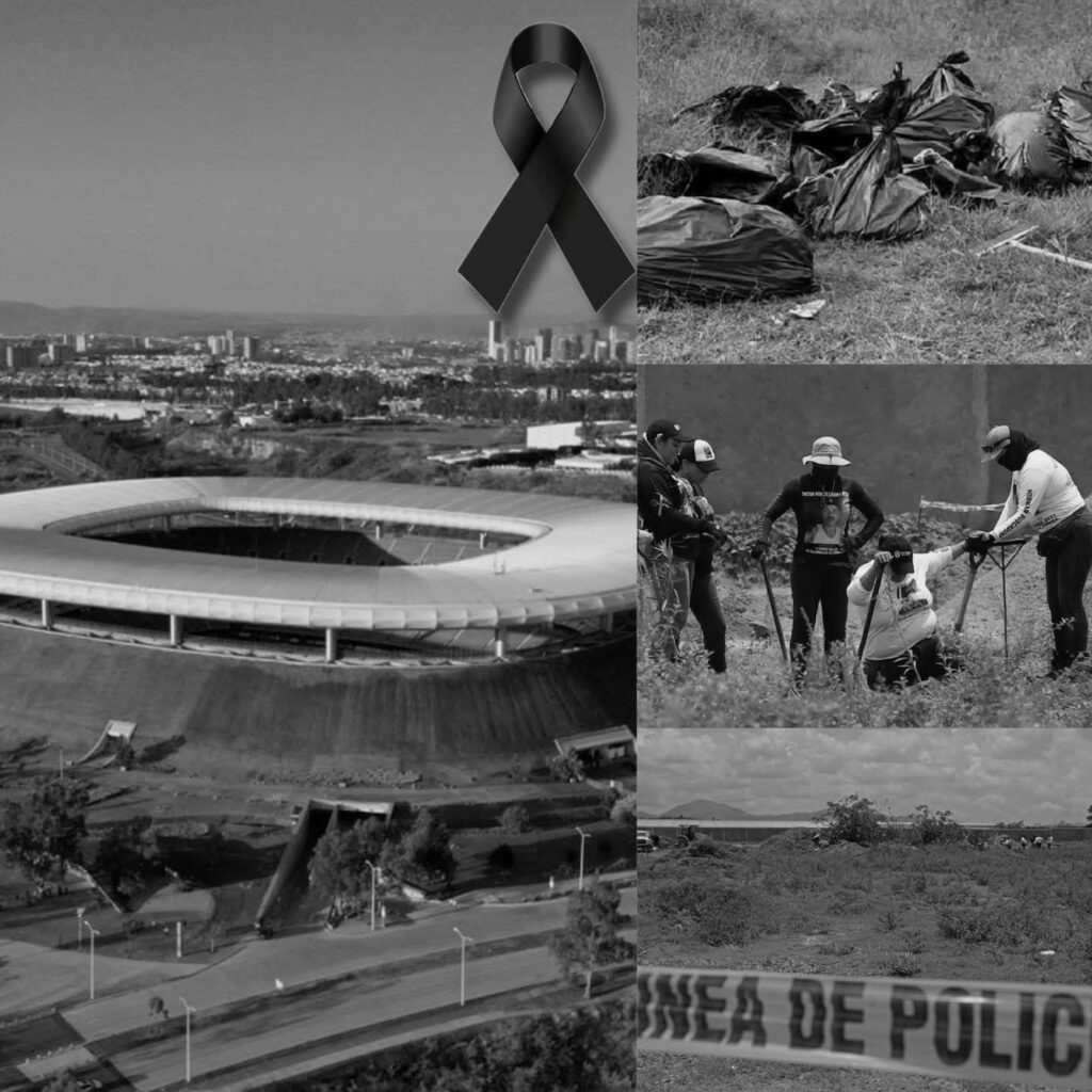 4536B164-D582-46D4-9CDA-C508DD159552