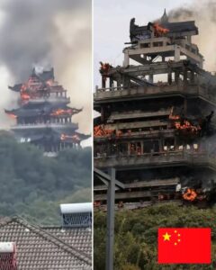 FB_IMG_1763137987303