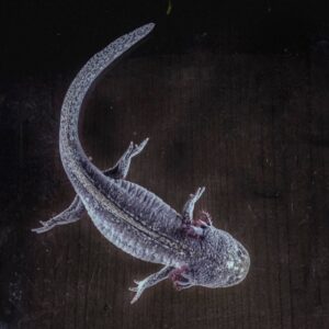 FB_IMG_1763658014260