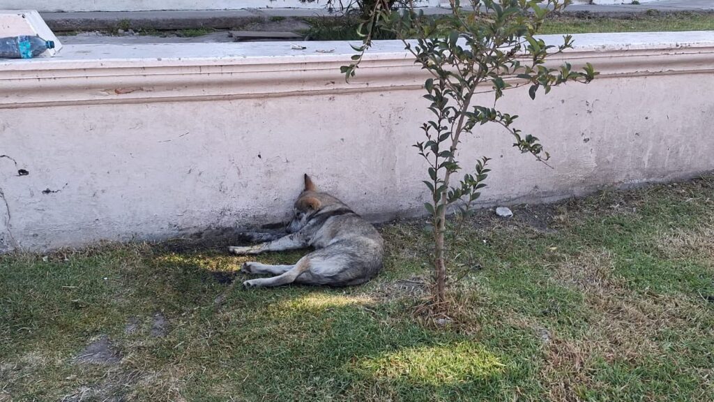 FB_IMG_1764344587186