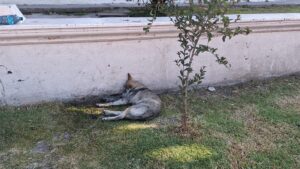 FB_IMG_1764344587186