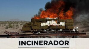 principal_incinerador