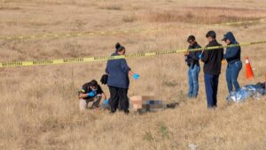 principal_inshot_20251113_101924782