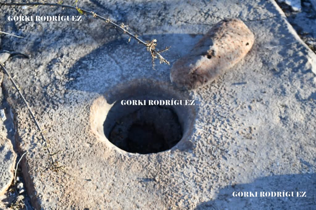 FB_IMG_1765056603951