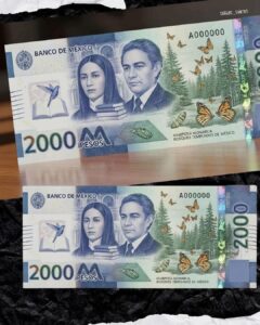 FB_IMG_1766623884423