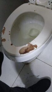 FB_IMG_1767071113990