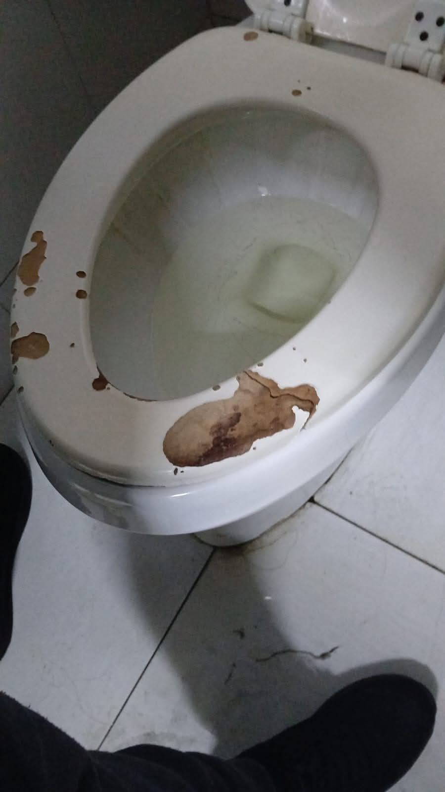 FB_IMG_1767071113990