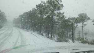 WhatsApp Image 2024-03-25 at 9.45.48 AM (1)