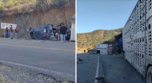 WhatsApp-Image-2025-12-22-at-6.52.46-PM