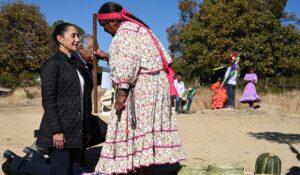 post_WhatsApp_Image_2024-12-20_at_4.13.06_PM__1_