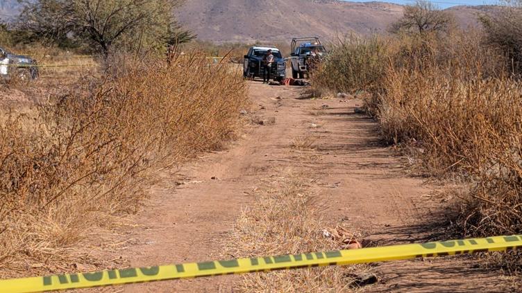 principal_inshot_20251219_141818064