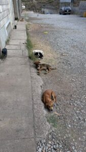 622330250_911125681431848_1286142404165143795_n