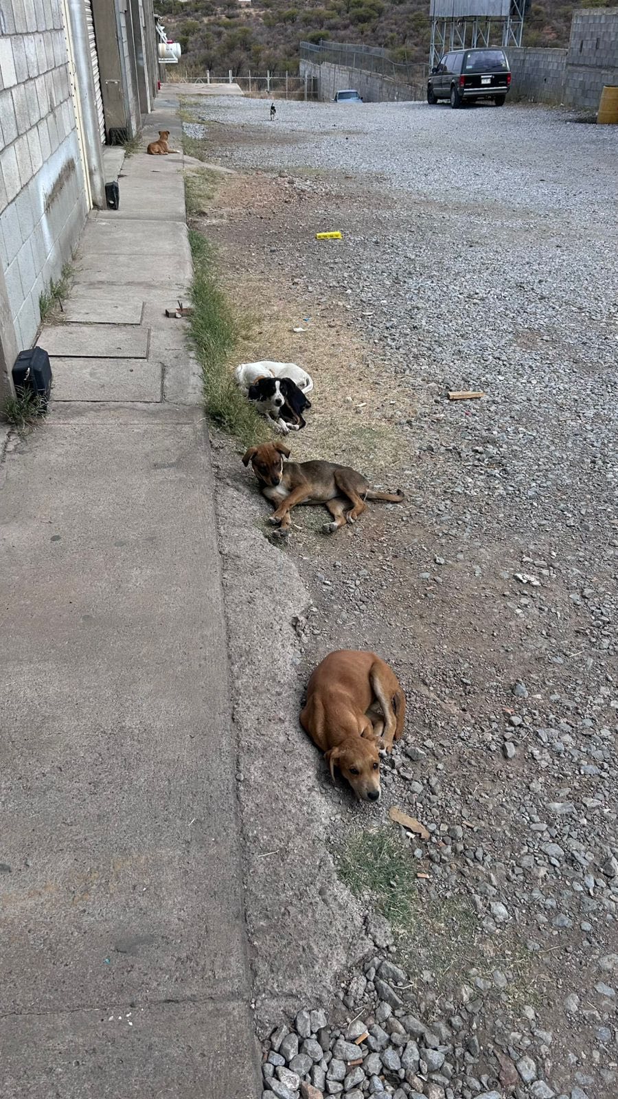 622330250_911125681431848_1286142404165143795_n