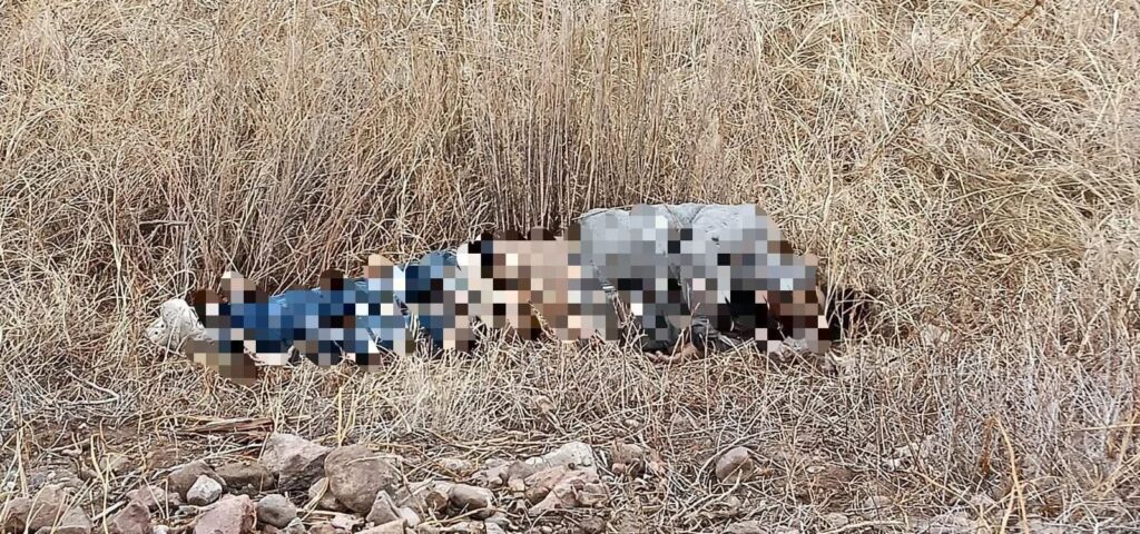 FB_IMG_1768277204221