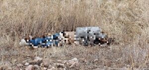 FB_IMG_1768277204221