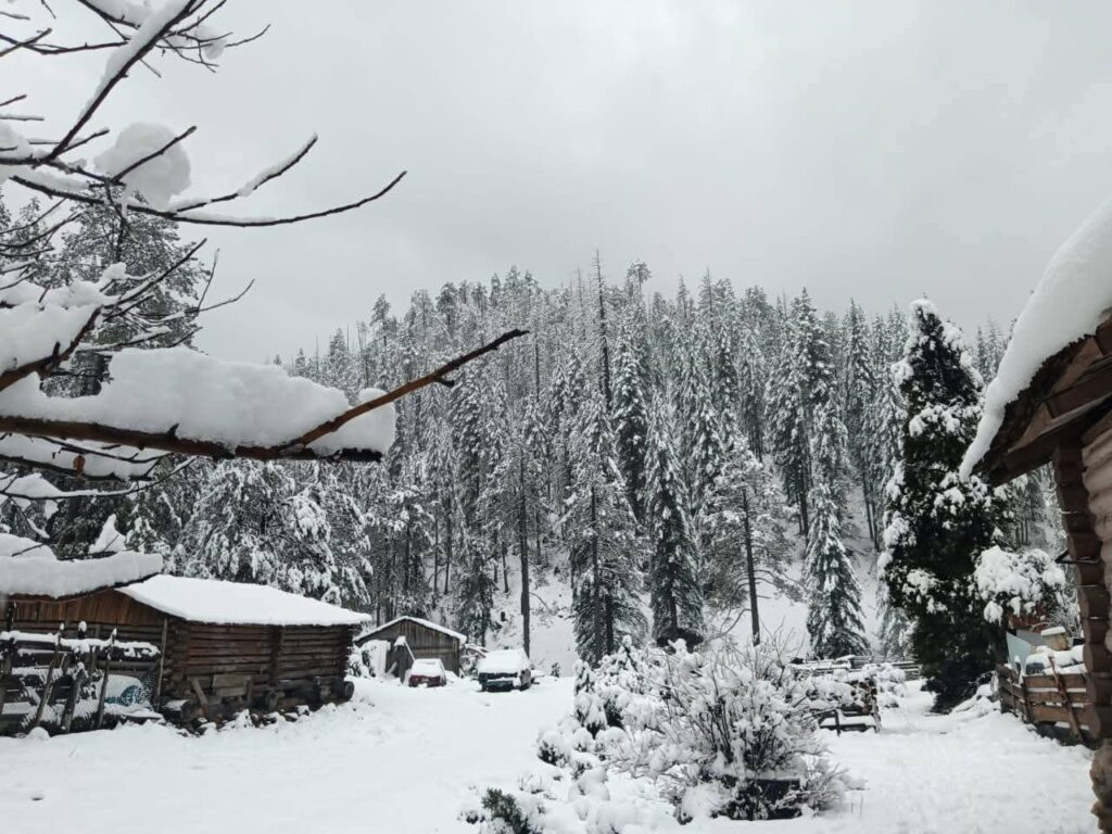 FB_IMG_1768355862035