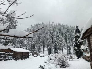 FB_IMG_1768355862035