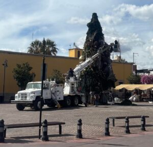 FB_IMG_1768853259279