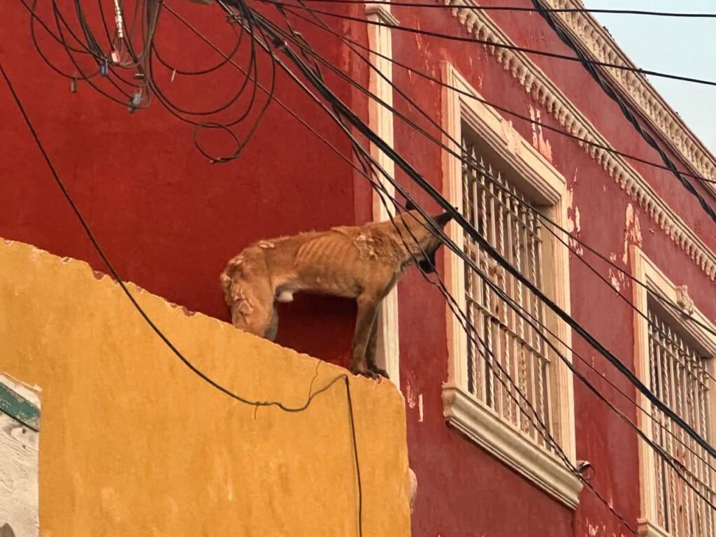 FB_IMG_1768874115950