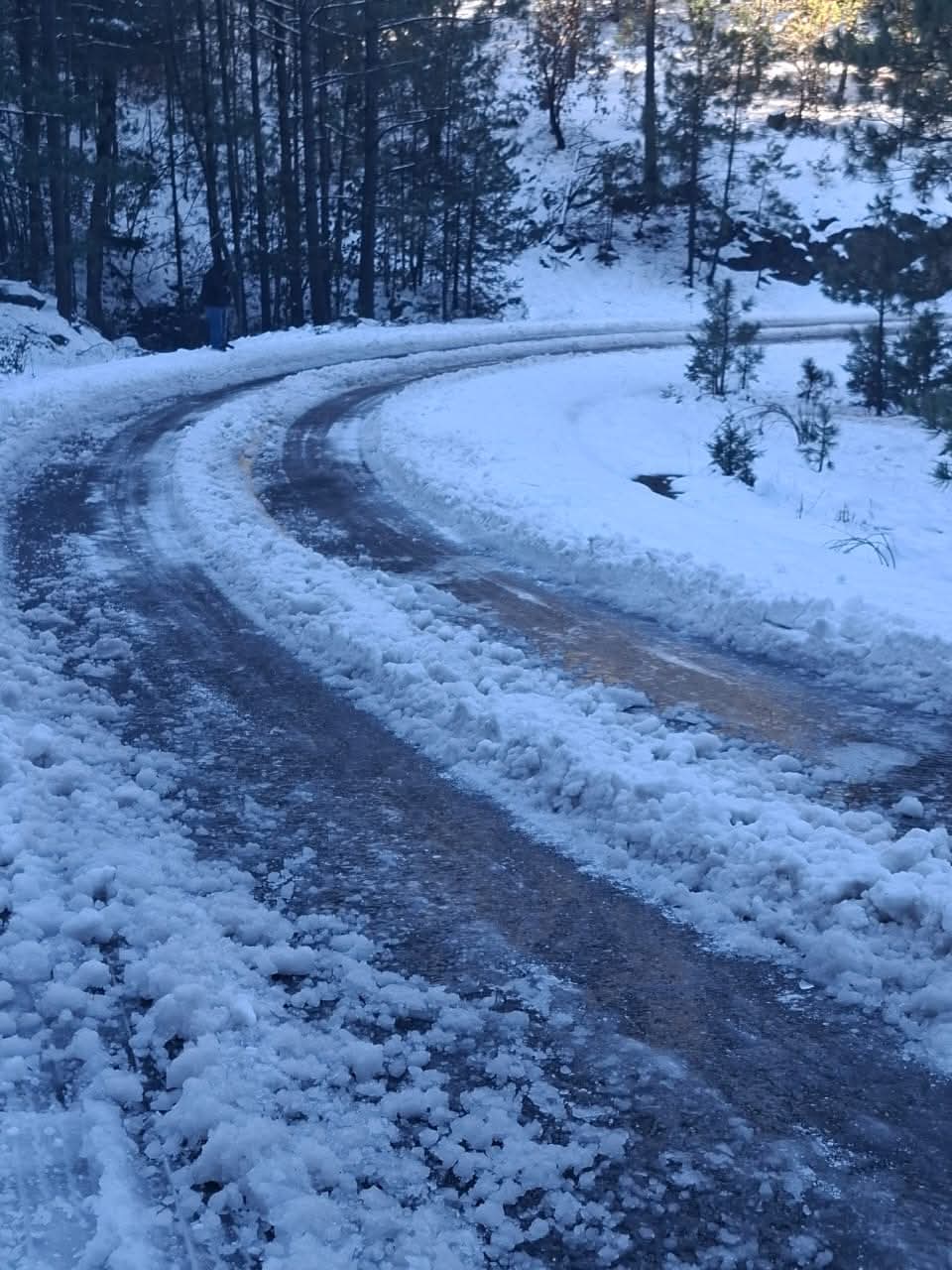 FB_IMG_1769535755795