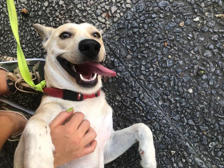 7069698c201c67de25f2ec4500dd3ba0