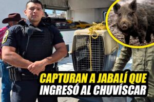 FB_IMG_1770527079161