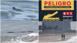 FB_IMG_1770847167974