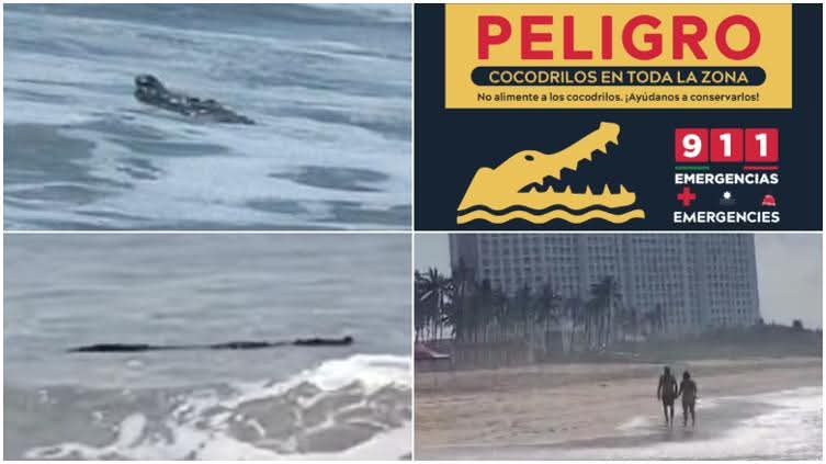 FB_IMG_1770847167974