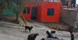 FB_IMG_1770874257808