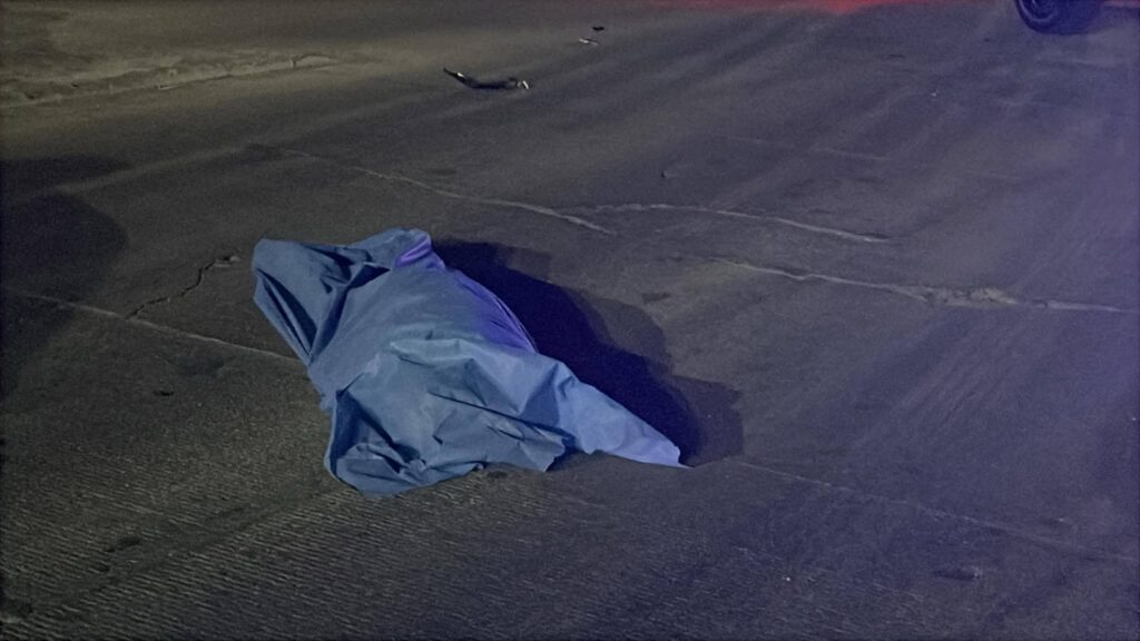 FB_IMG_1771478620659