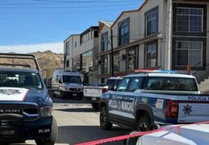 FB_IMG_1771478865993