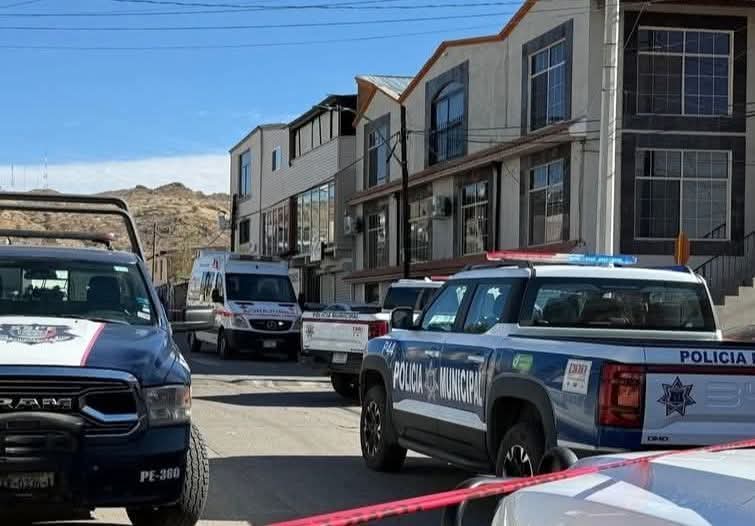 FB_IMG_1771478865993