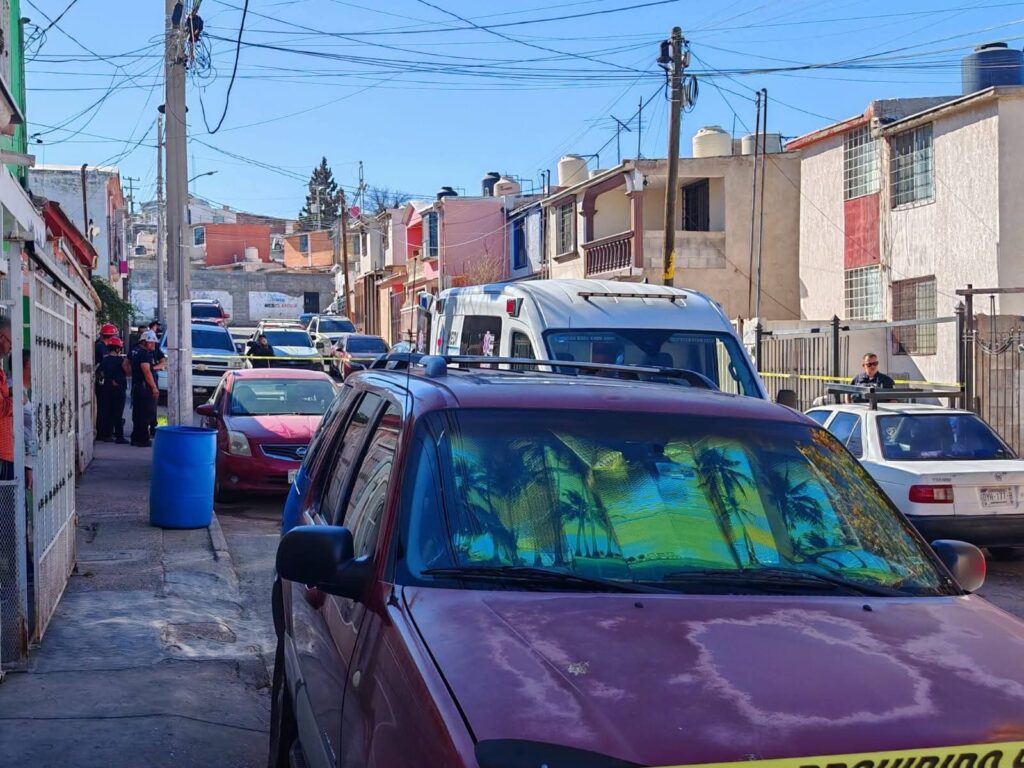 FB_IMG_1772254886338