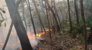 principal_incendio