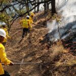 principal_incendio-forestal