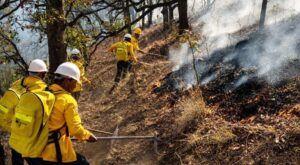 principal_incendio-forestal