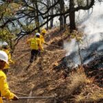 Concentra Chihuahua casi la mitad de incendios; vienen lluvias