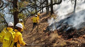 principal_incendios