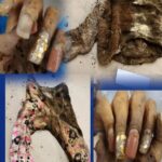 Buscan identificar restos de mujer hallada en la carretera a Cuauhtémoc